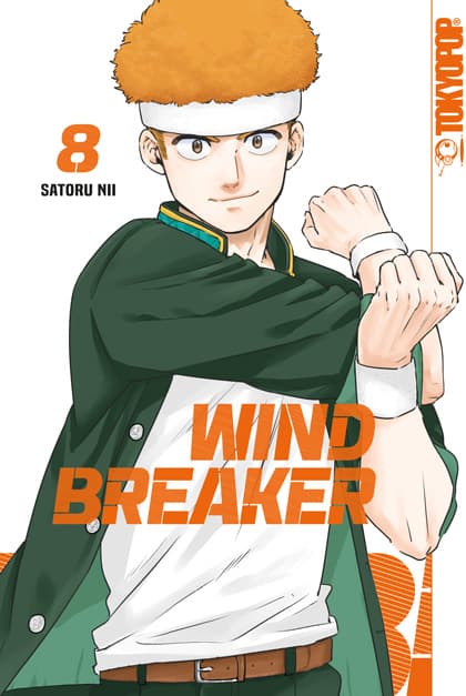 Cover Art for WIND BREAKER