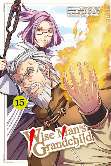 Cover Art for WISE MAN’S GRANDCHILD