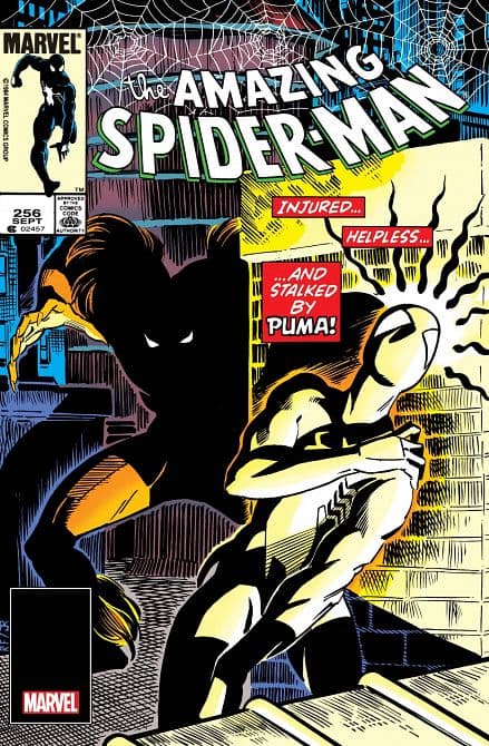 Cover Art for AMAZING SPIDER-MAN FACSIMILE EDITION