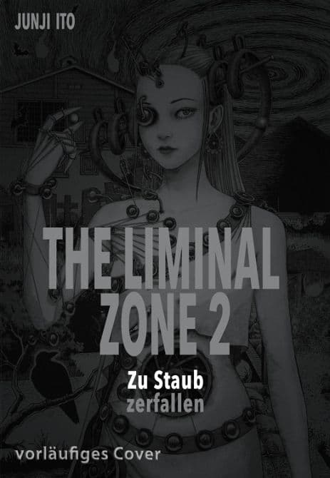 THE LIMINAL ZONE