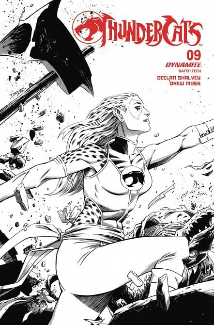 Cover Art for THUNDERCATS