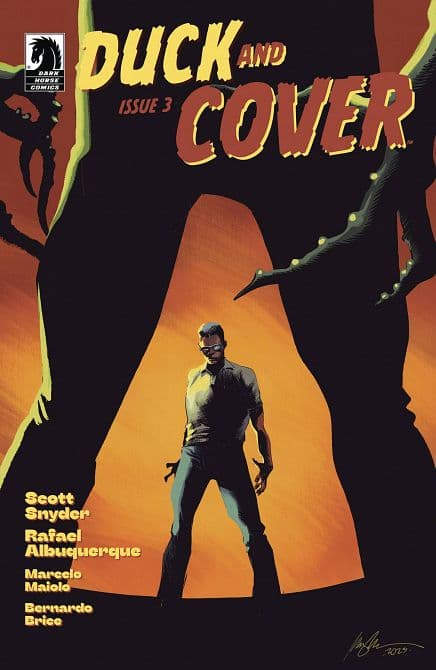 Cover Art für DUCK & COVER