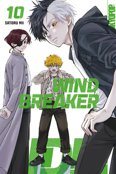 Cover Art for WIND BREAKER