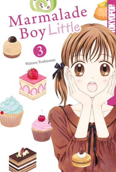 Cover Art for MARMALADE BOY LITTLE