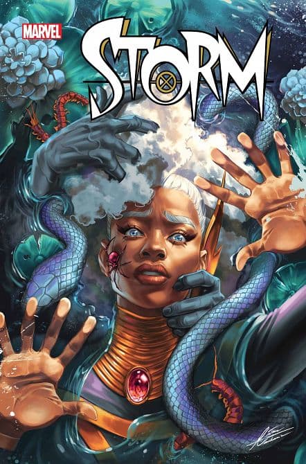 Cover Art for STORM