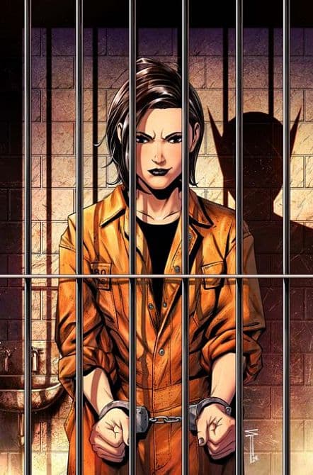 Cover Art for BIRDS OF PREY