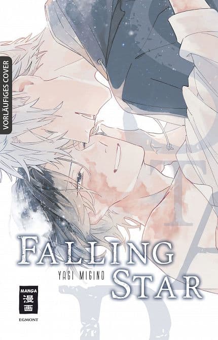 Cover Art for FALLING STAR
