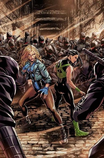 Cover Art for BIRDS OF PREY