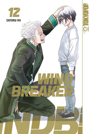 Cover Art for WIND BREAKER