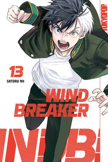 Cover Art for WIND BREAKER