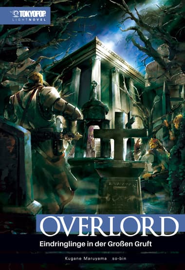 Cover Art for OVERLORD-THE UNDEAD KING LIGHT NOVEL ( HC )