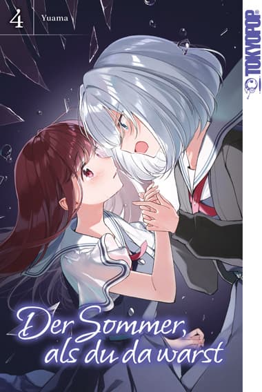 Cover Art for DER SOMMER, ALS DU DA WARST