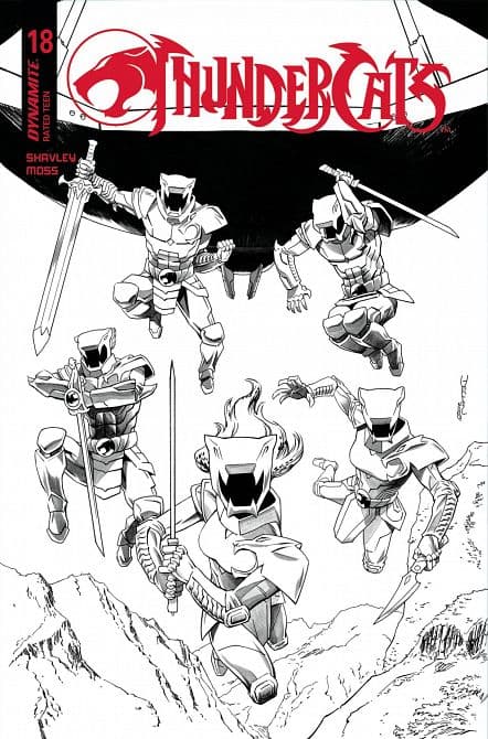 Cover Art for THUNDERCATS