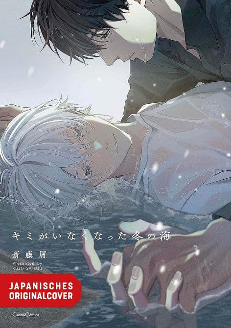 Cover Art for WIE DIE STILLE DES OZEANS