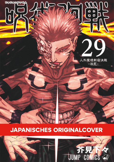 Cover Art for JUJUTSU KAISEN
