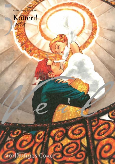 Cover Art for VEIL