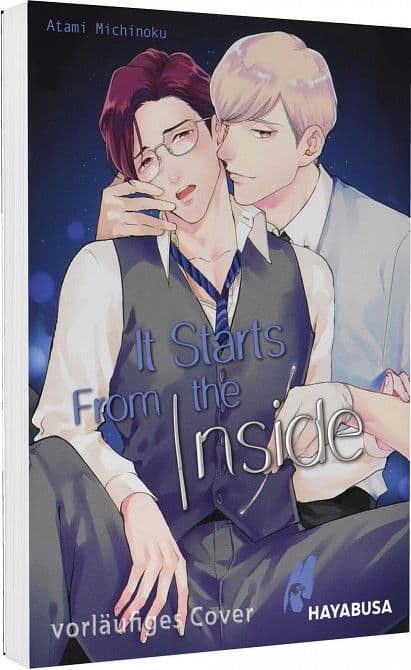Cover Art for IT STARTS FROM THE INSIDE