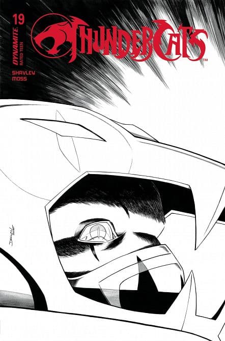 Cover Art for THUNDERCATS