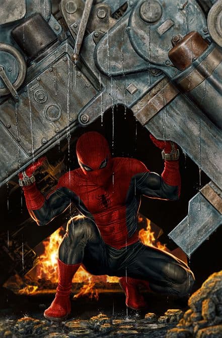 Cover Art for AMAZING SPIDER-MAN