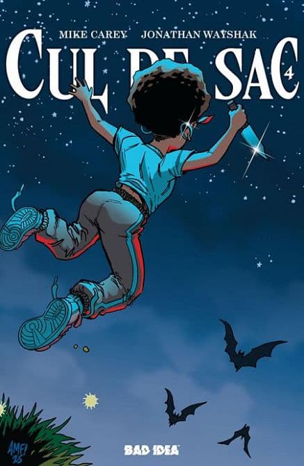 Cover Art for CUL DE SAC