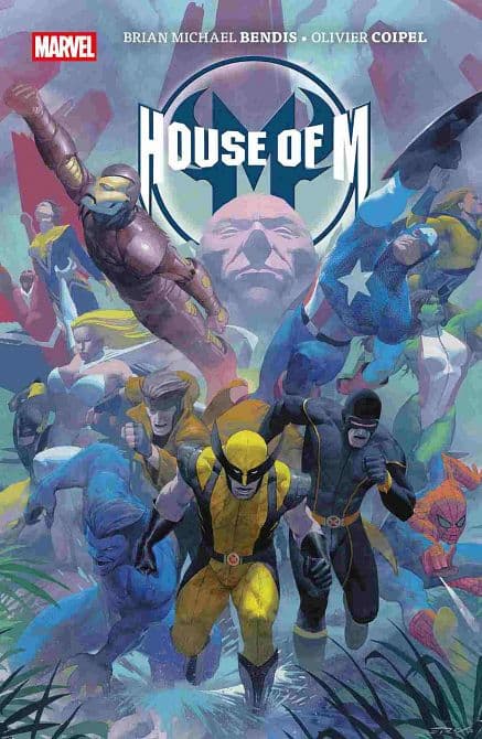 Cover Art for PANINI-POCKET: HOUSE OF M