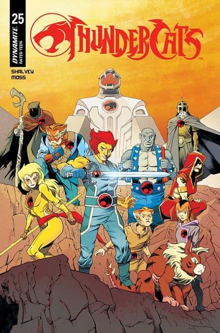 Cover Art for THUNDERCATS