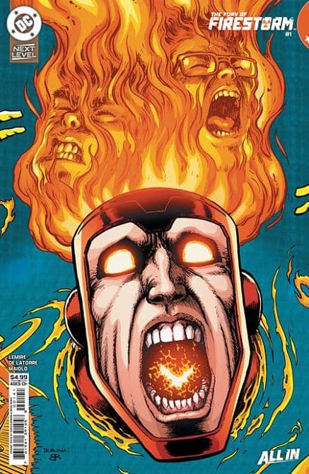 Cover Art for FURY OF FIRESTORM