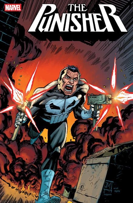Cover Art for PUNISHER