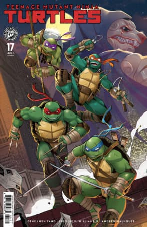 Cover Art for TEENAGE MUTANT NINJA TURTLES