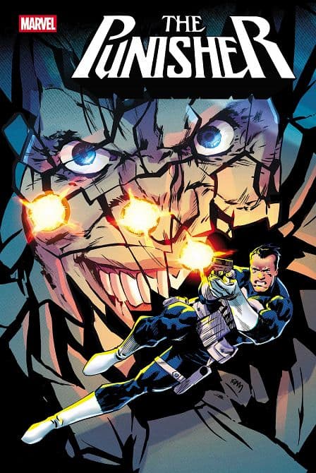 Cover Art for PUNISHER