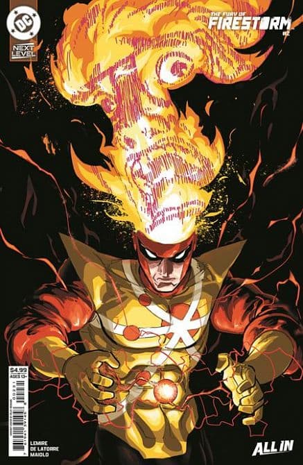 Cover Art for FURY OF FIRESTORM