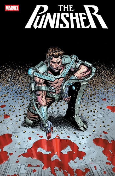 Cover Art for PUNISHER