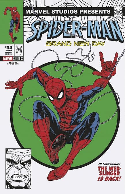 Cover Art for AMAZING SPIDER-MAN