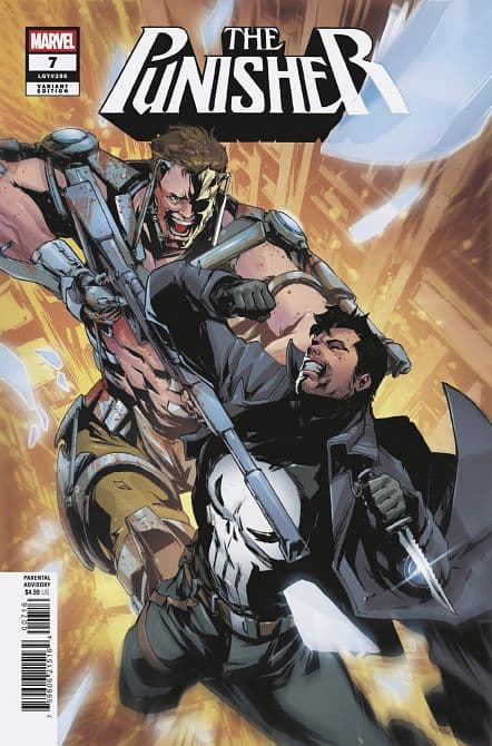 Cover Art for PUNISHER