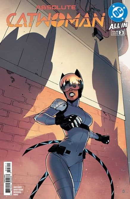Cover Art for ABSOLUTE CATWOMAN