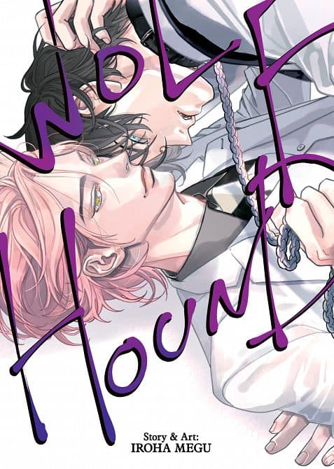 Cover Art for WOLFHOUND TP