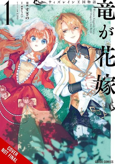 Cover Art for TALE OF THE WIZRAIN KINGDOM THE DRAGON IS THE BRIDE TP VOL 01