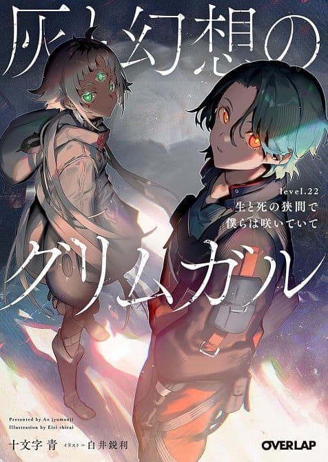 Cover Art for GRIMGAR OF FANTASY AND ASH ( LIGHT NOVEL ) VOL. 22 TP