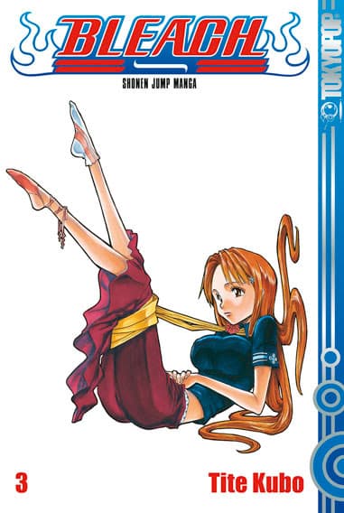 Cover Art for BLEACH ( ab 2006 )