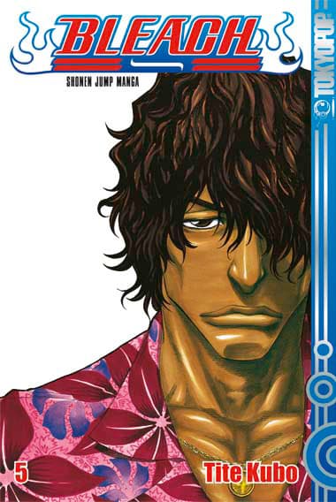 Cover Art for BLEACH ( ab 2006 )
