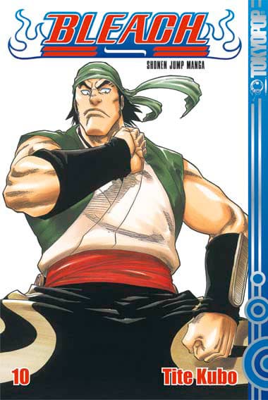 Cover Art for BLEACH ( ab 2006 )