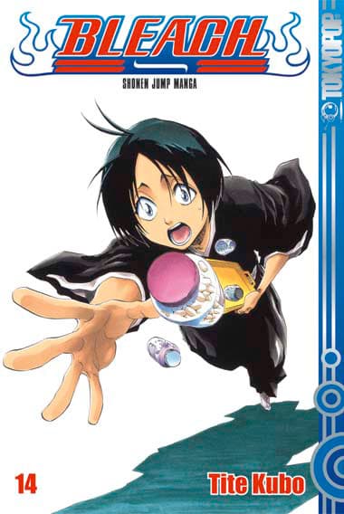 Cover Art for BLEACH ( ab 2006 )