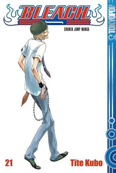 Cover Art for BLEACH ( ab 2006 )