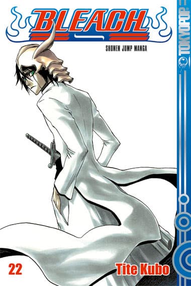 Cover Art for BLEACH ( ab 2006 )