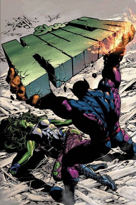 Cover Art for SHE-HULK ( 2005-2009 )