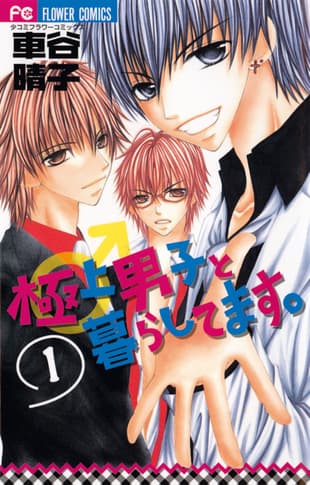 Cover Art for HOT ROOMER