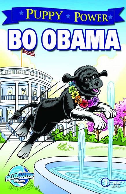 Cover Art for PUPPY POWER BO OBAMA DIRECT MKT ED