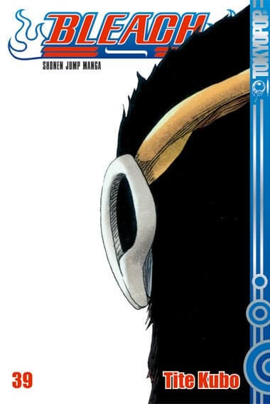 Cover Art for BLEACH ( ab 2006 )