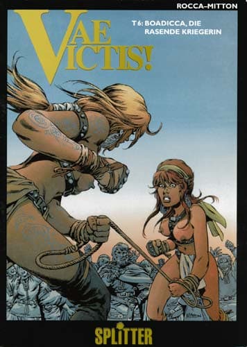 Cover Art for VAE VICTIS ( Softcover )