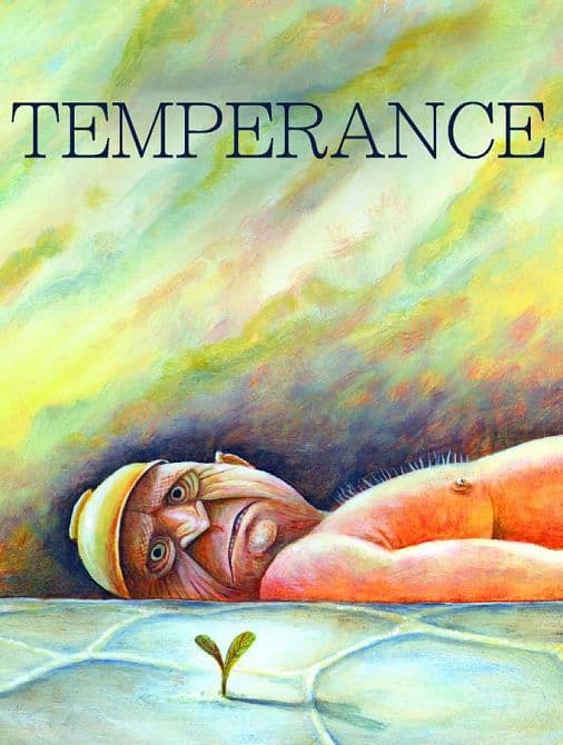 Cover Art for TEMPERANCE HC